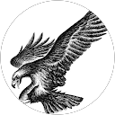 Avram Tanca profile picture